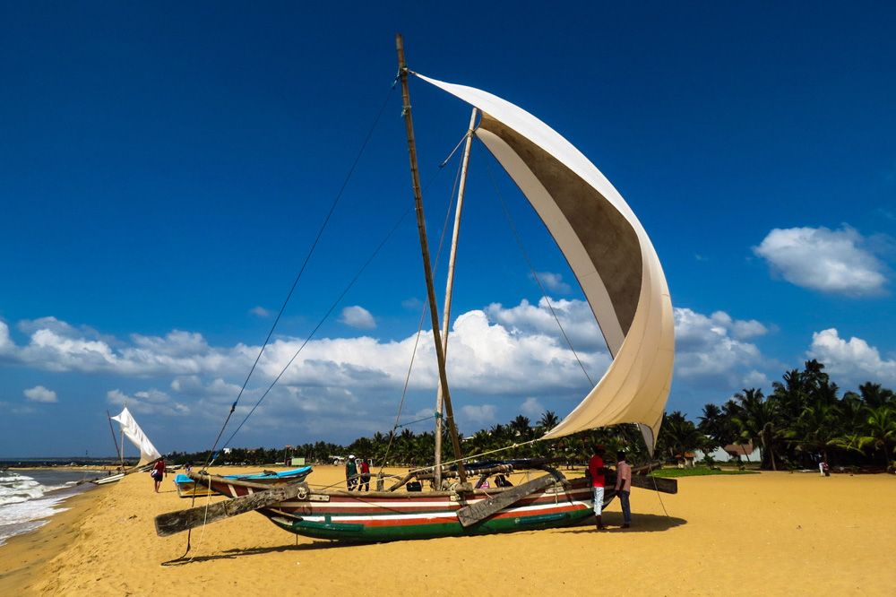 Negombo Sails Full of Wind