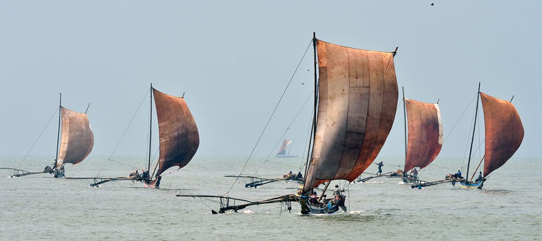 Traditional Sail Boats
